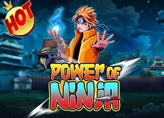 Power of Ninja